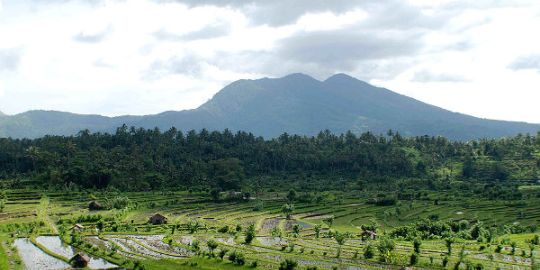 Roy in Bali : 