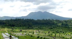 Roy in Bali : "The Balinese are extremely overt, friendly and curious"
