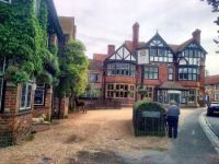 Musarañas y otras cosas.