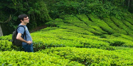 Fred à Kuala Lumpur : « C'est vraiment top de voir autant de cultures et de religions cohabiter »