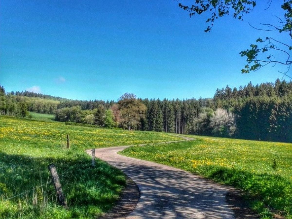 Se anche il ragionier Ugo espatria