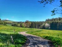 Se anche il ragionier Ugo espatria