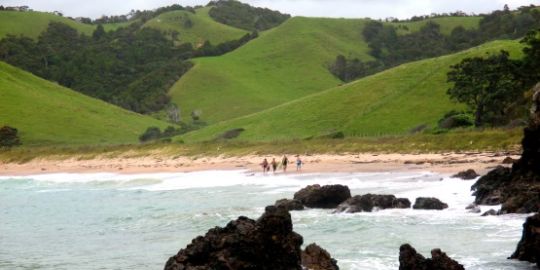 Viaggi dentro e fuori dalla testa