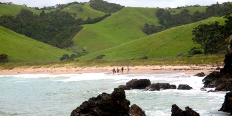 Viaggi dentro e fuori dalla testa