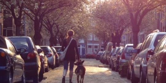  Pelocha Living Abroad