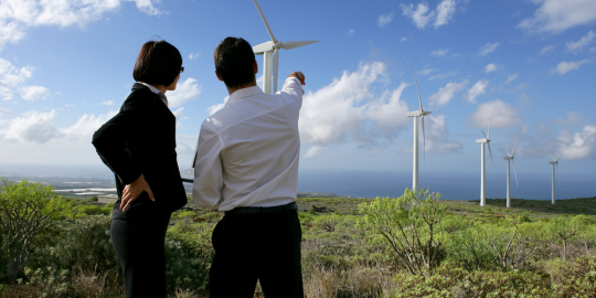 The world's 5 most sustainable companies