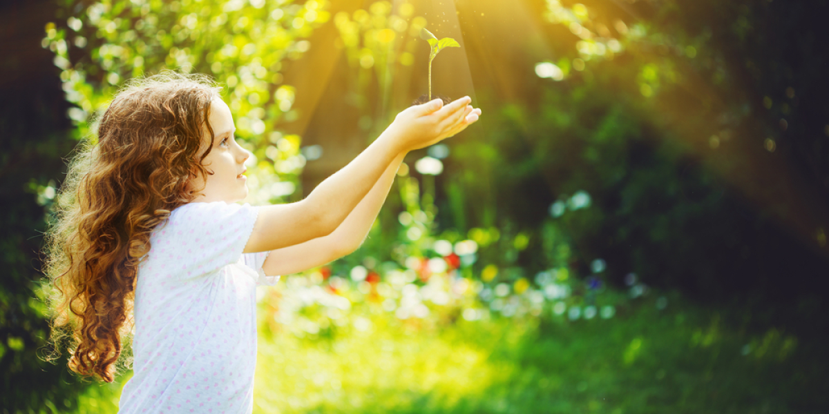 Developpement durable