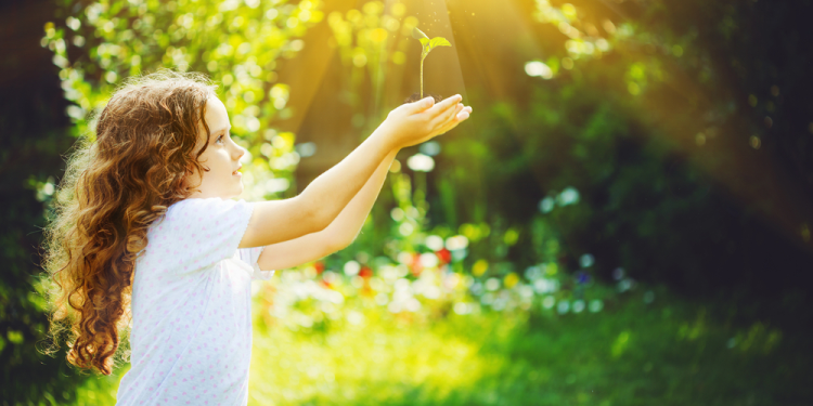 Developpement durable