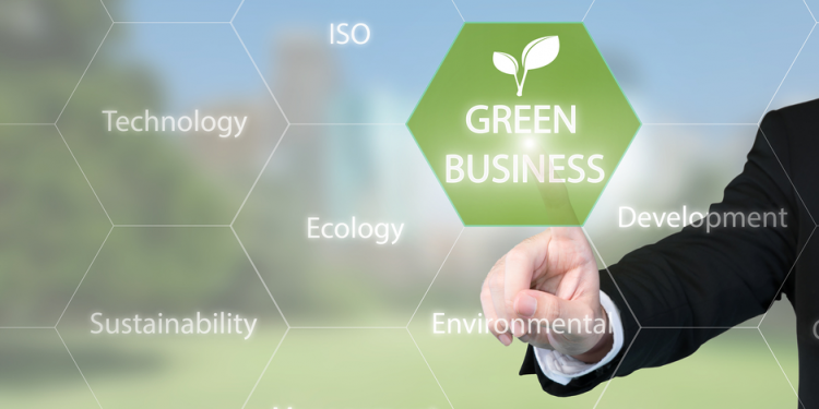 Denise Delaney answers the pressing questions surrounding sustainability in  business