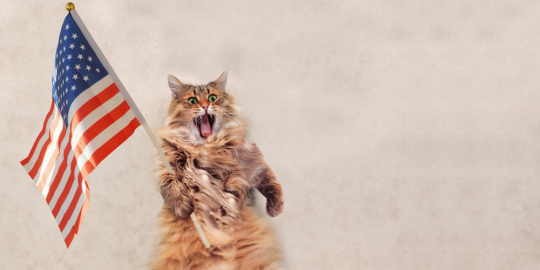 16 things you'll definitely miss about America when moving abroad 