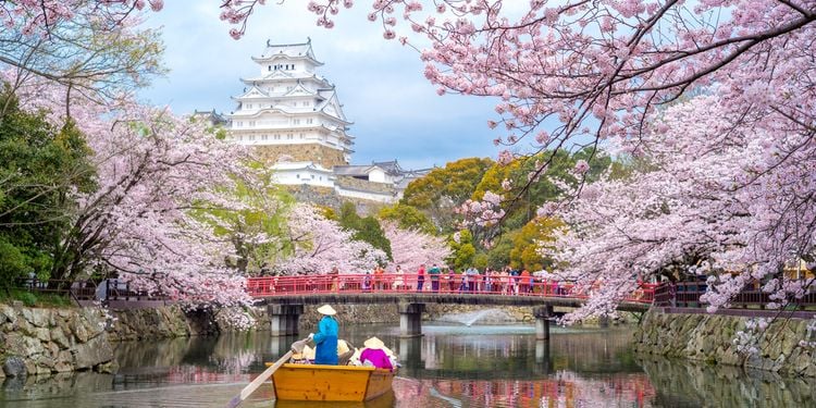 Teach English in Japan