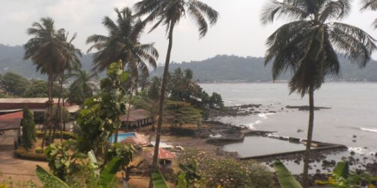 Evelyne à Limbé :  « On apprend la patience au Cameroun »