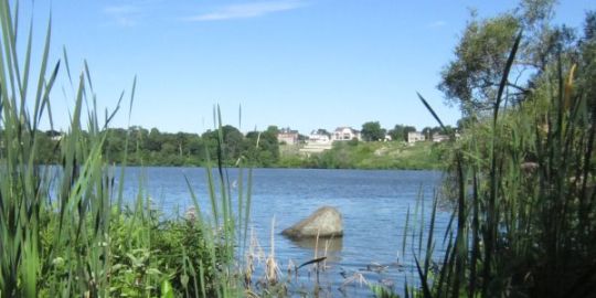 Jessica à Montréal : «  Il y a beaucoup d'espaces verts »