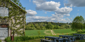 An Indian expat in Finland finds new meanings in life