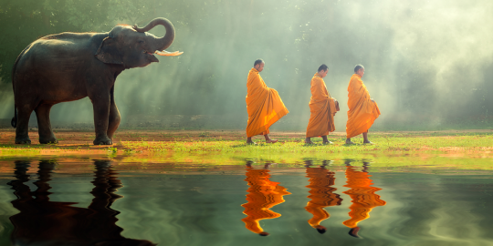 Our top five expat blogs about culture