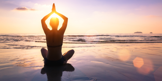 What defines wellness for expatriates?
