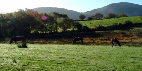 Catherine in Kerry: 
