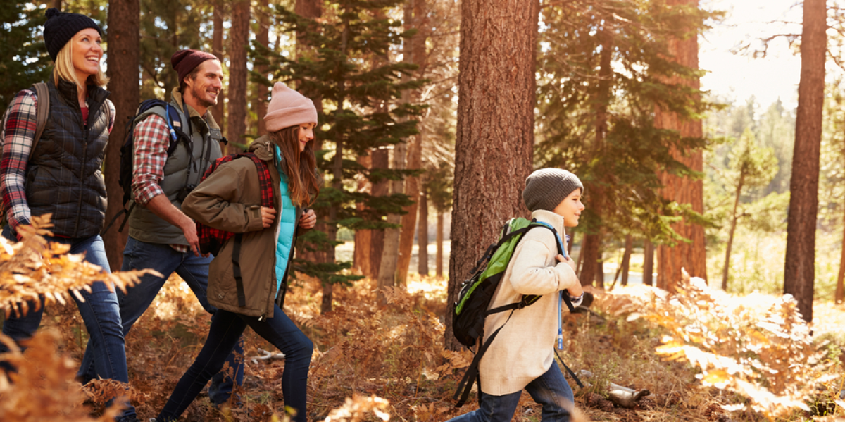 family hiking in the forest