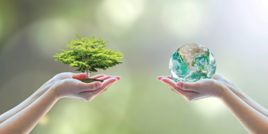 Top five greenest countries in the world