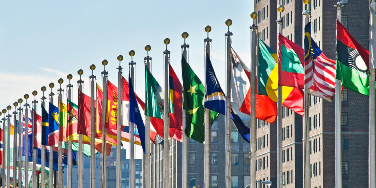 drapeaux des nations unies