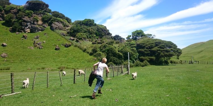 Expat in New Zealand