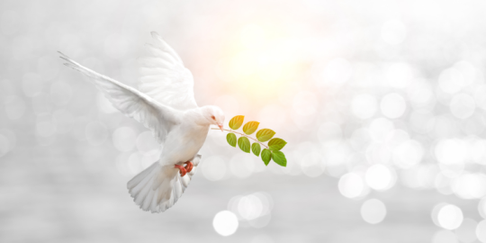 Quels sont les pays les plus paisibles du monde ?