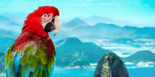 Les 5 plus beaux pays du monde