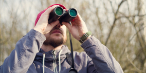 Les meilleures destinations pour observer la faune