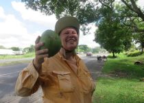 Kris in David: "It's more relaxed, more laid back here"