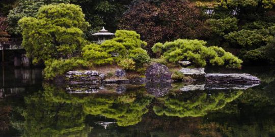 Svetlana à Osaka : « Le lieu m'a enchanté ! »