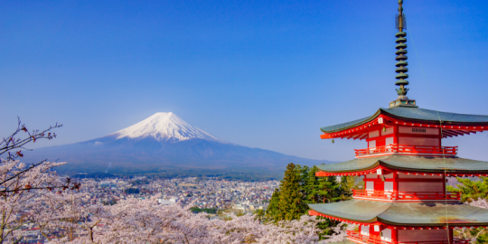 6 bonnes raisons de partir au Japon