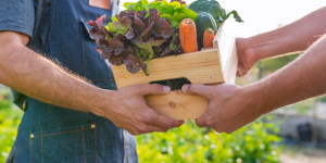 Australia adds 54 new professions to it's Skilled Occupation Lists