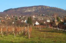 Kevin in Hegymagas: "The lifestyle in Hungary is more temporally relaxed"