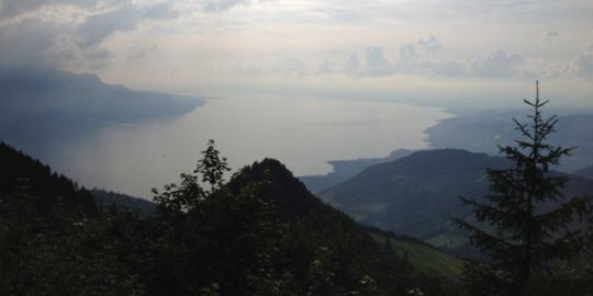 Stéphanie à Lausanne : « J'aime beaucoup le lien avec la nature »