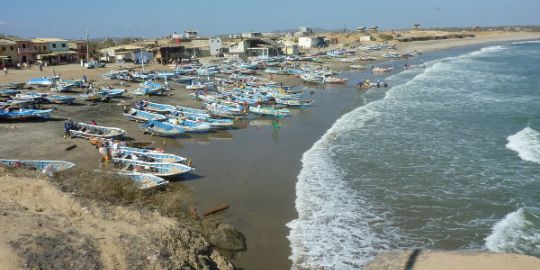 Hervé à Playas : « La biodiversité ici est remarquable »
