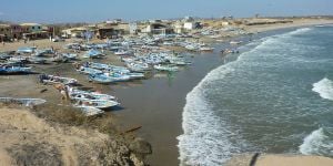 Hervé à Playas : « La biodiversité ici est remarquable »