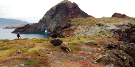 Testimonianza di Fabio da Madeira