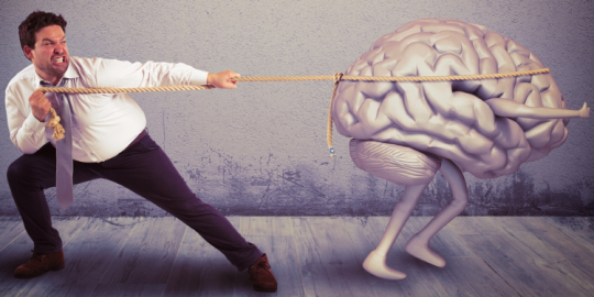 Cuando tu hogar te llama... 