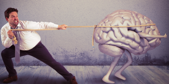 Quand les pays s'efforcent à faire revenir les expatriés...