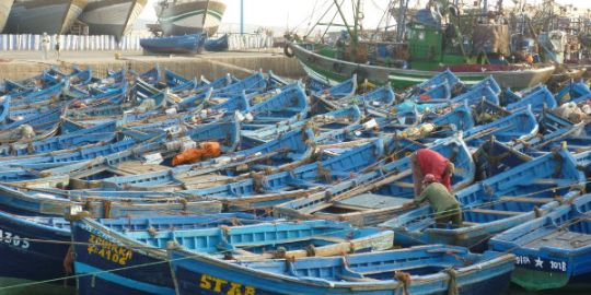 Lynn in Essaouira: 