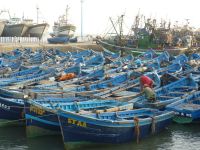 Lynn in Essaouira: "The Moroccan lifestyle is pretty laid back"