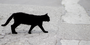 Friday the 13th: Superstitions from around the world!