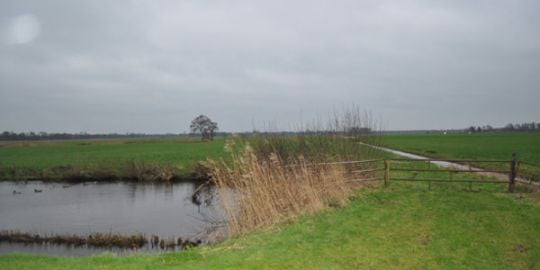 Stuart in Friesland : 