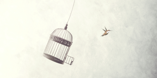 Libertad de expresión cuando se vive en el extranjero