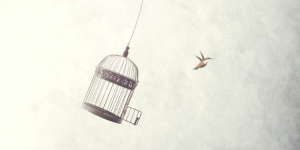 Freedom of expression when living abroad...