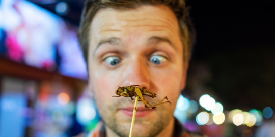 Conseils pratiques pour faire face au choc culturel à l'étranger