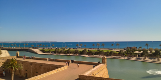 Testimonianza di Ilaria da Palma di Maiorca