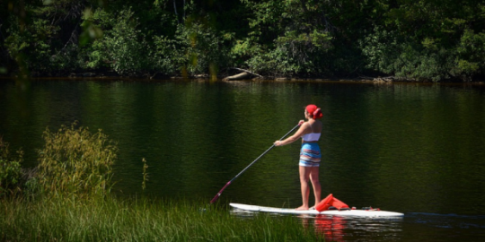 Come trascorreremo le vacanze estive quest'anno