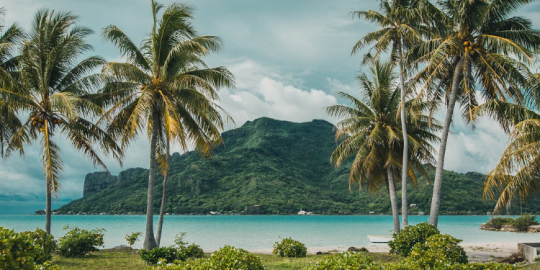 Luciana dalla Polinesia: 0 decessi per coronavirus