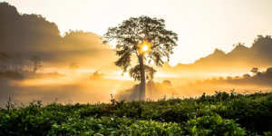 "Adoro lasciarmi trasportare da questa vita", testimonianza di Karim da Saigon 